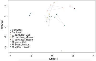 Host Differentiation and Compartmentalization of Microbial Communities in the Azooxanthellate Cupcorals Tubastrea coccinea and Rhizopsammia goesi in the Caribbean